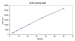 Eurofins DiscoverX ACK1 Protein, Active 250 &mu;g | Buy Online | Eurofins DiscoverX | Fisher Scientific